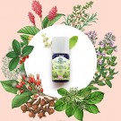 SINERGY Healing and Protection eterisk olje fra LAKSHMI 10ml thumbnail